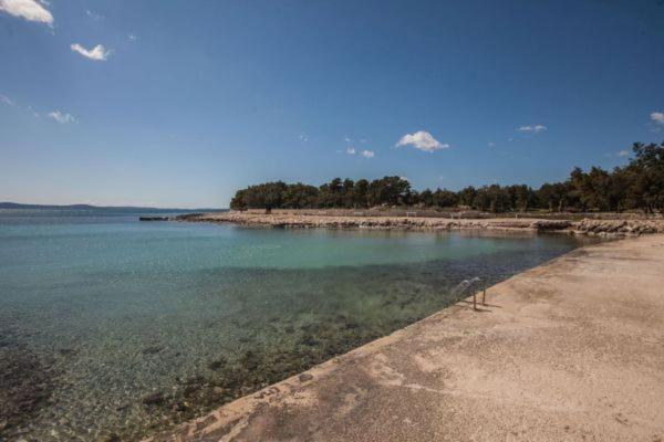 Apartman Franc S Vir Esterno foto