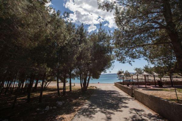 Apartman Franc S Vir Esterno foto